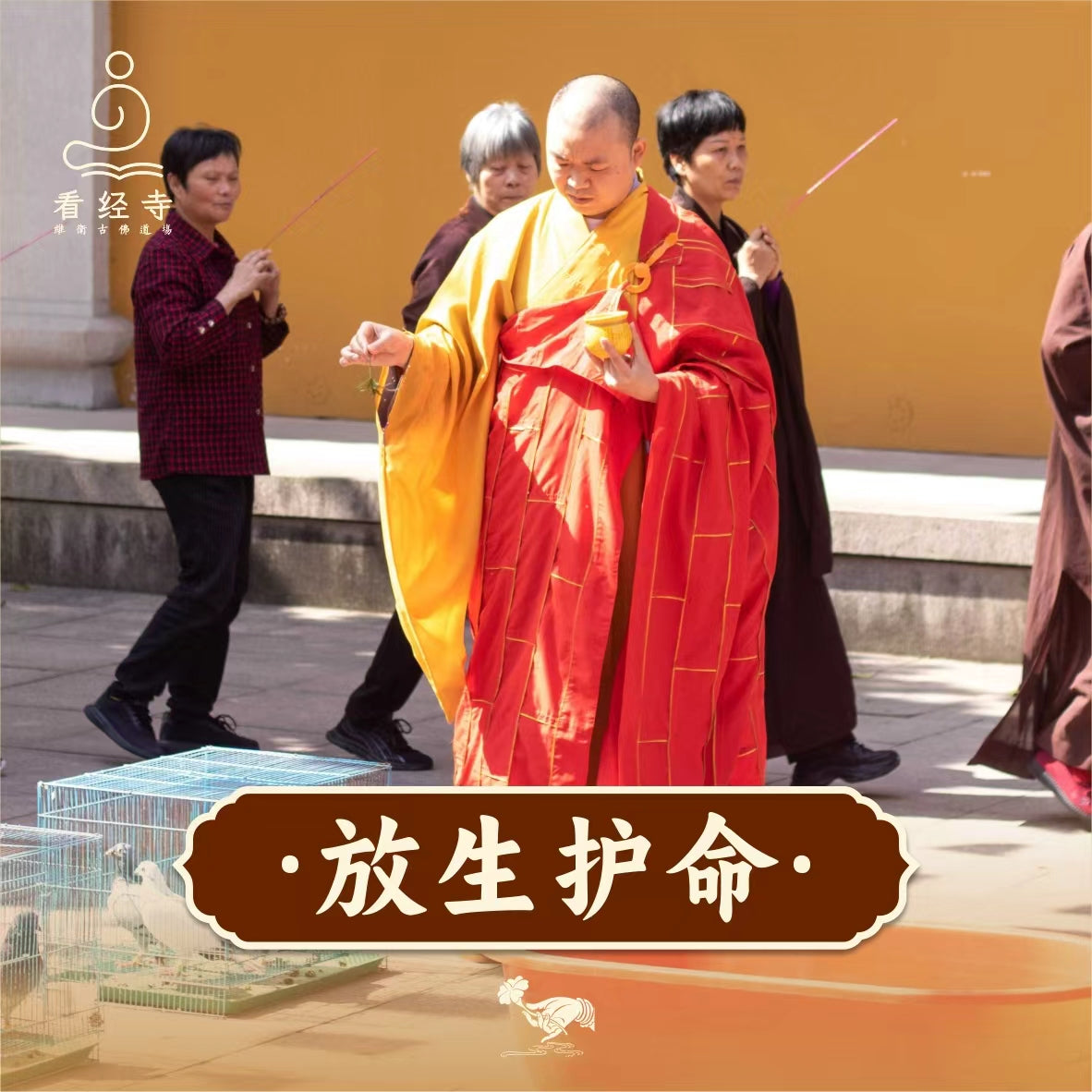 【看经寺】放生护命